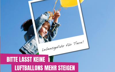 Luftballons – Gefährlich für Tiere