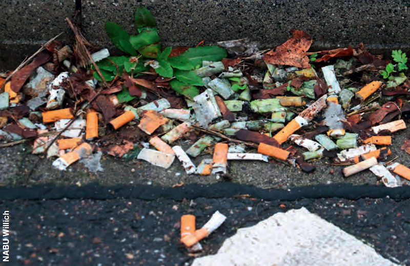 Auf der Kippe – Wie gefährlich sind Zigarettenstummel?