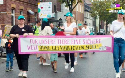 Gemeinsam gegen den wilden Müll